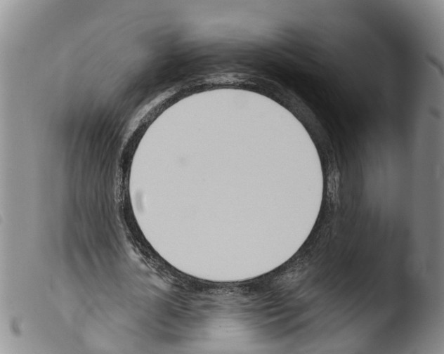 X0000103460724200810240949