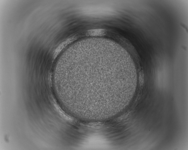 X0000103460725200810240949