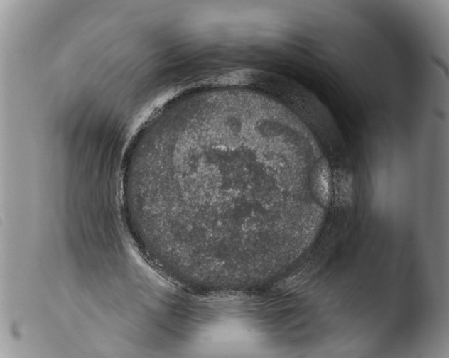 X0000103460726200810240949