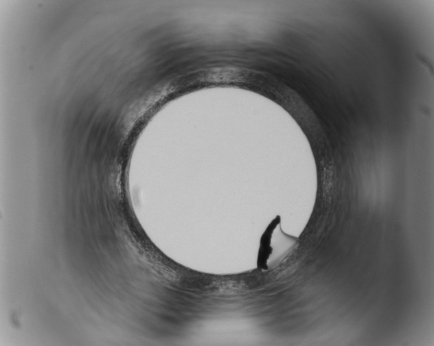 X0000103460727200810240949