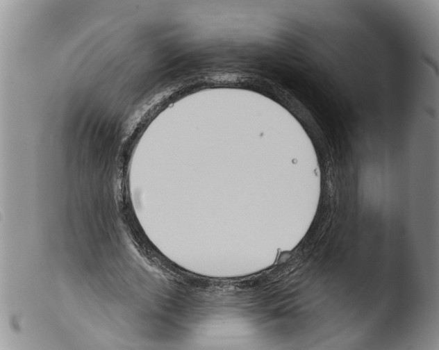 X0000103460728200810240949