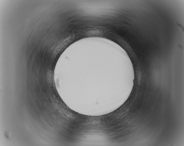 X0000103460729200810240949