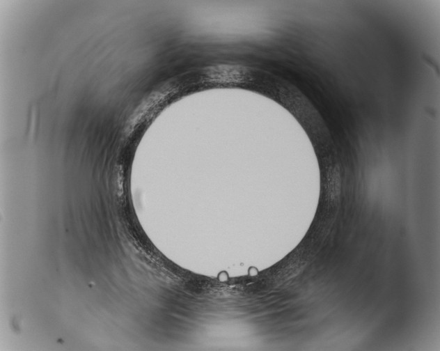 X0000103460731200810240949