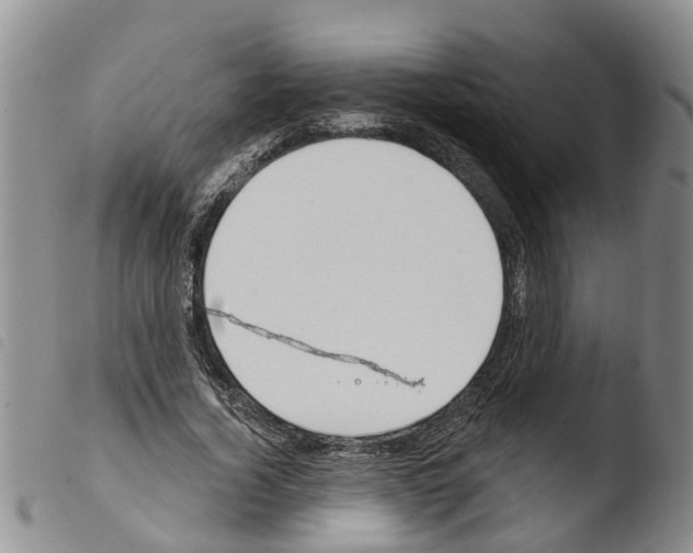 X0000103460732200810240949