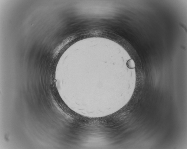 X0000103460734200810240949