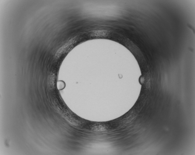 X0000103460735200810240949