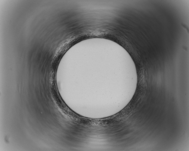 X0000103460736200810240949