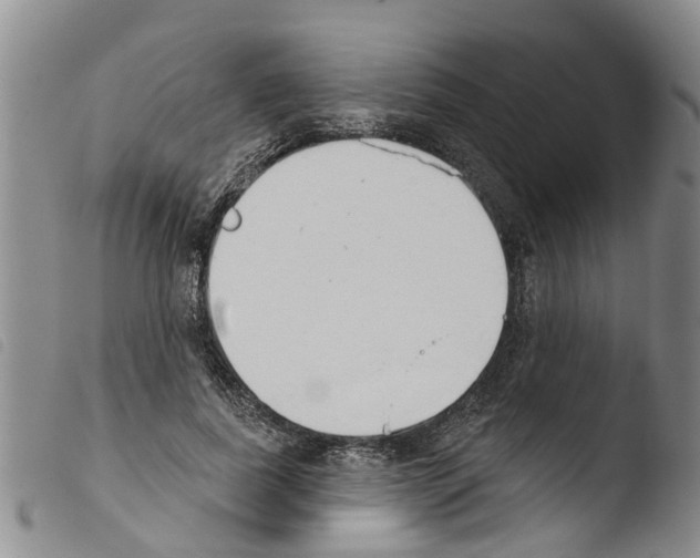 X0000103460739200810240949