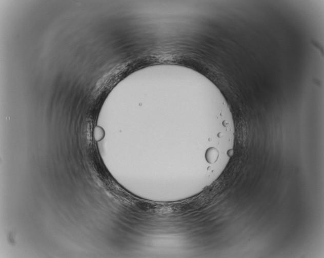 X0000103460740200810240949
