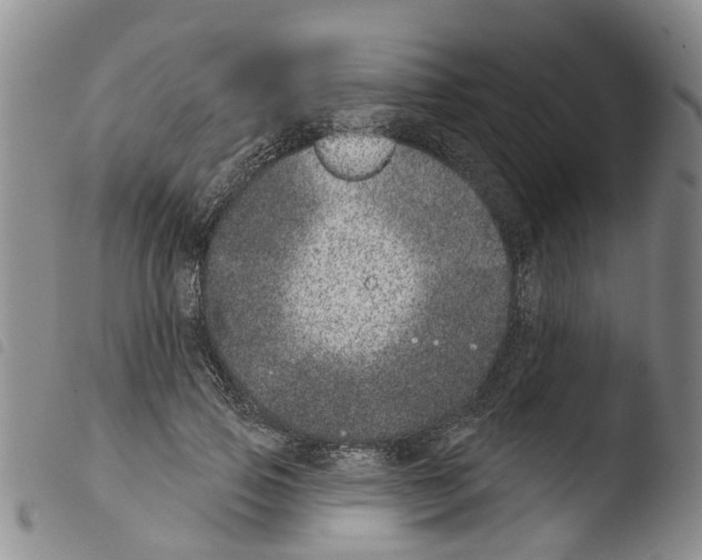 X0000103460741200810240949