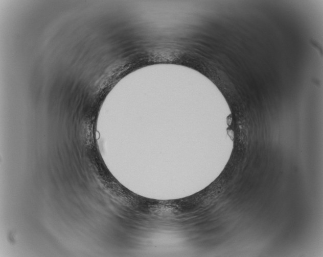 X0000103460743200810240949