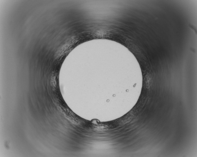 X0000103460746200810240949