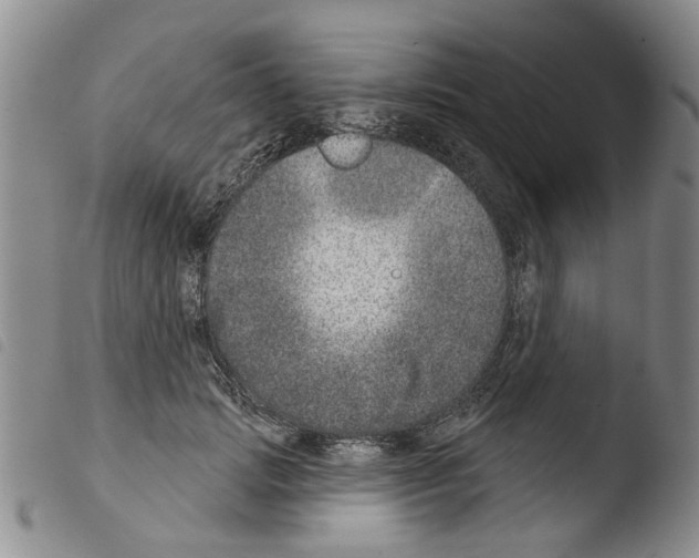 X0000103460749200810240949