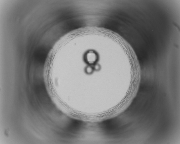X0000103460750200810240949
