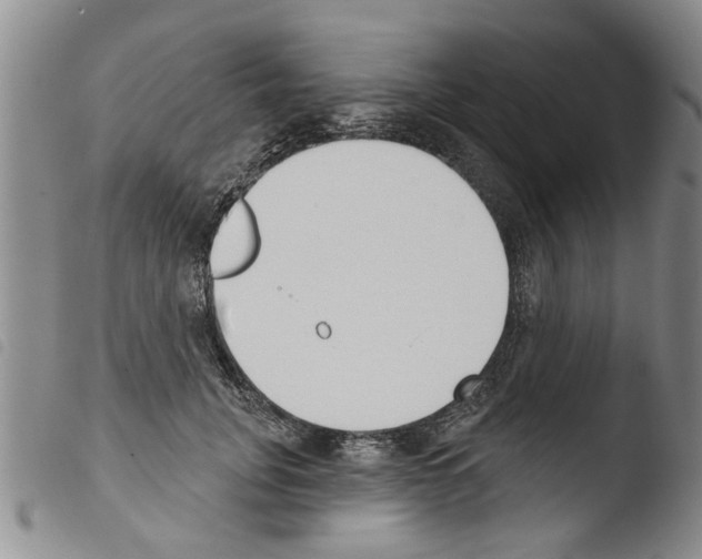 X0000103460751200810240949