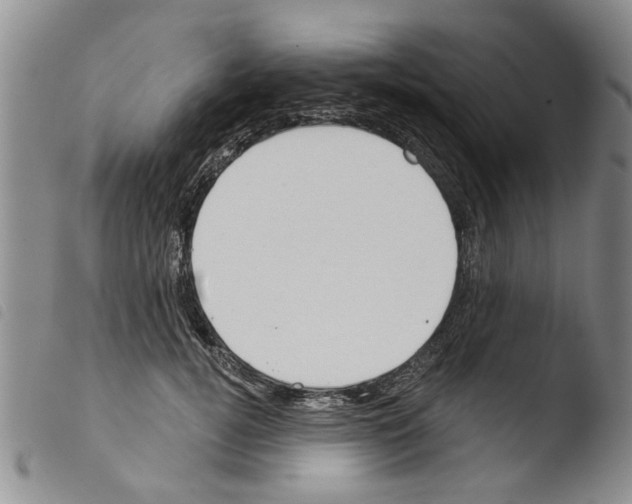 X0000103460752200810240949