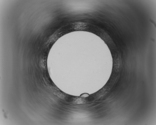 X0000103460755200810240949