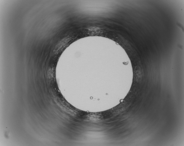 X0000103460756200810240949