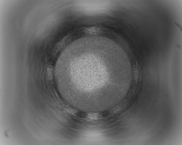 X0000103460757200810240949