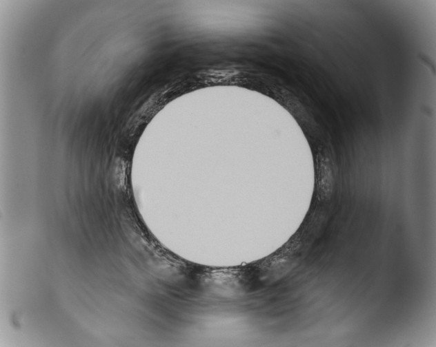 X0000103460758200810240949