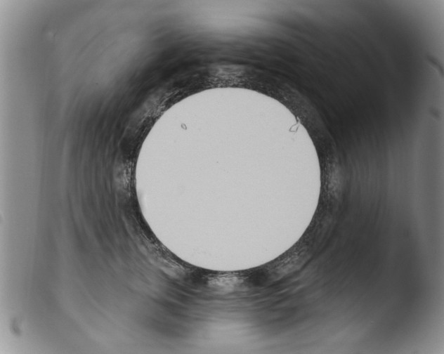 X0000103460759200810240949