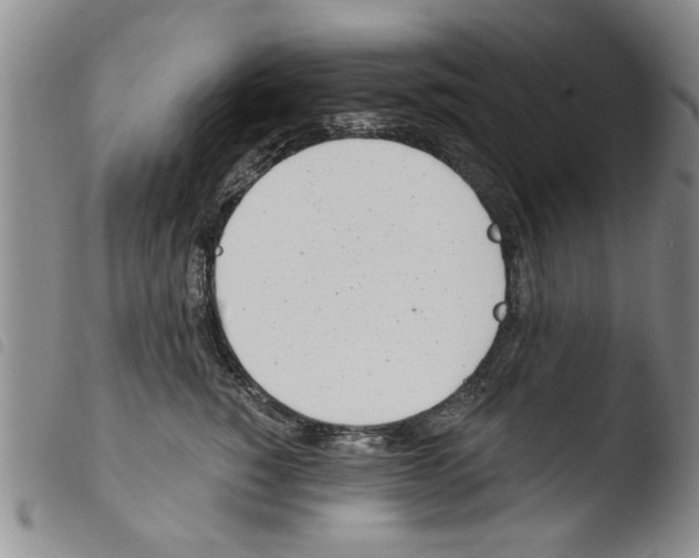 X0000103460760200810240949