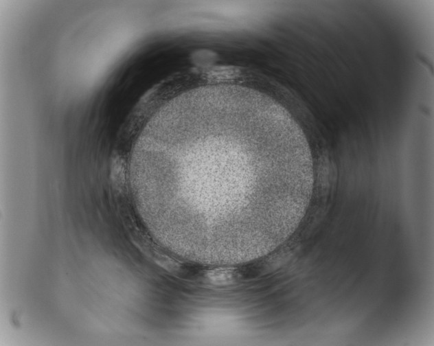 X0000103460761200810240949