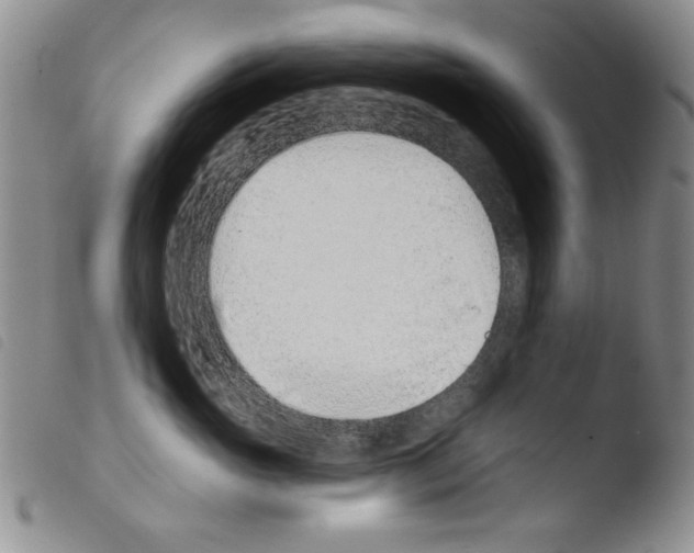 X0000103460765200810240949