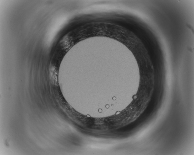 X0000103460766200810240949