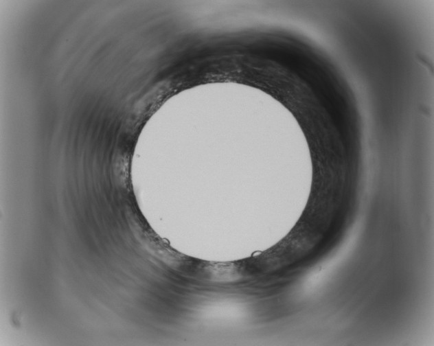 X0000103460767200810240949