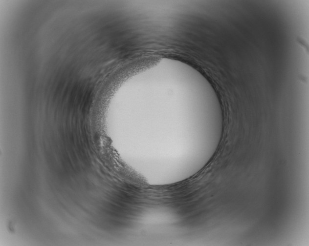 X0000103460768200810240949
