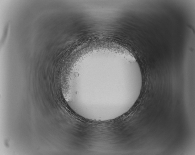 X0000103460769200810240948