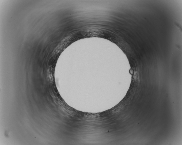 X0000103460771200810240948