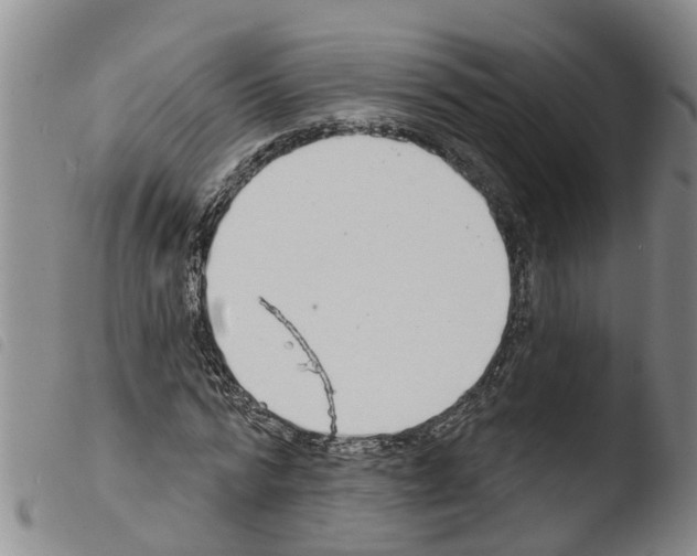 X0000103460776200810240948