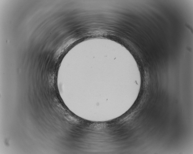 X0000103460778200810240948