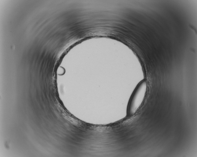 X0000103460779200810240948
