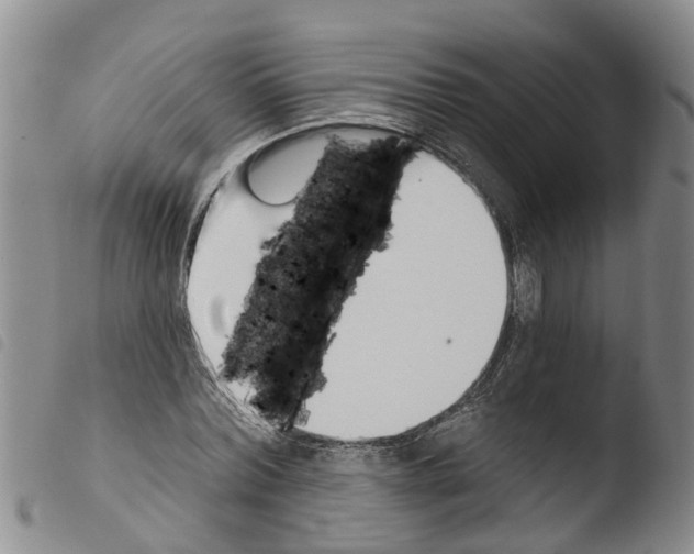 X0000103460780200810240948