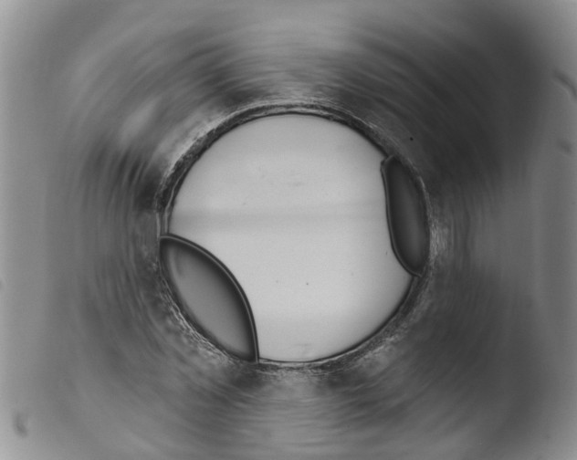 X0000103460781200810240948