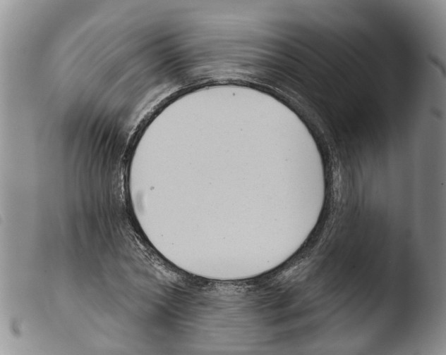 X0000103460782200810240948