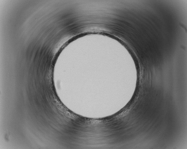 X0000103460783200810240948
