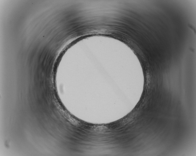 X0000103460784200810240948