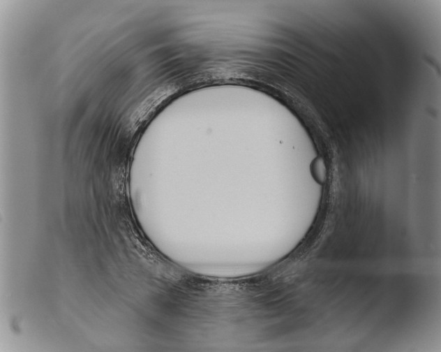 X0000103460785200810240948