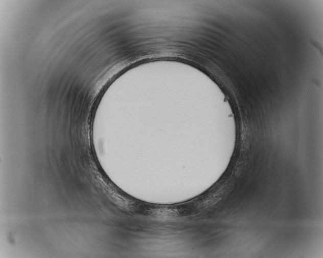 X0000103460789200810240948