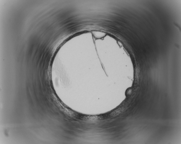 X0000103460791200810240948