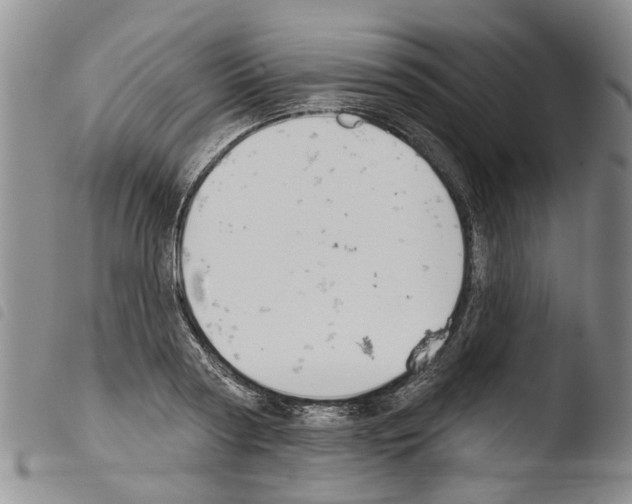 X0000103460794200810240948