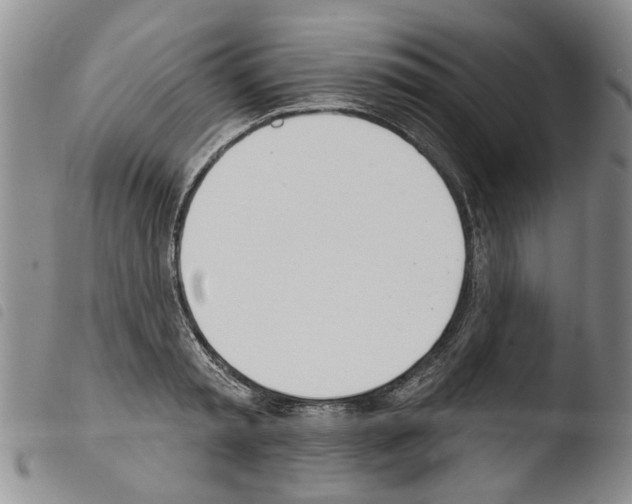 X0000103460797200810240948