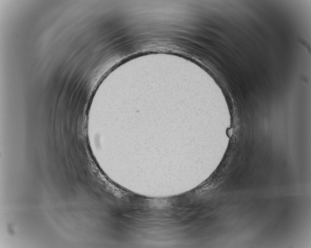 X0000103460799200810240948