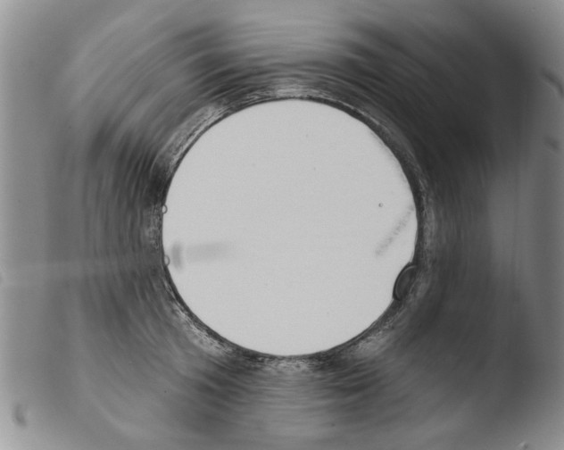 X0000103460801200810240948