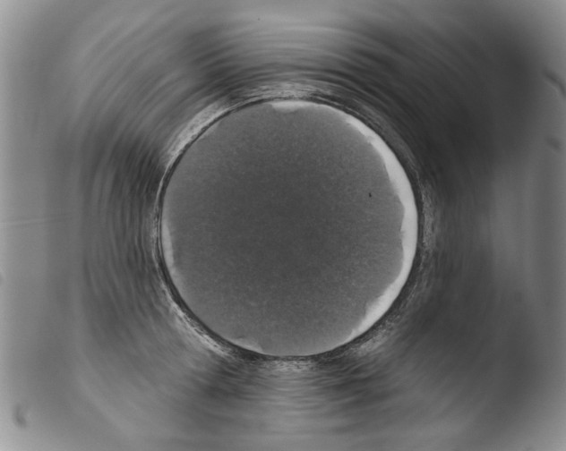 X0000103460802200810240948