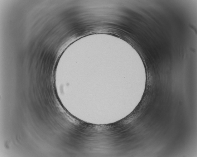 X0000103460803200810240948